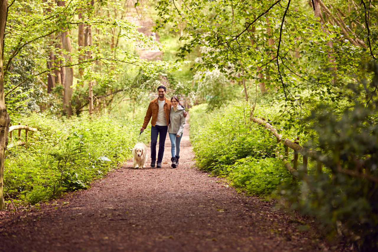 couple walking a dog in the woods